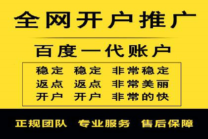 某知名企业SEM营销全案解析